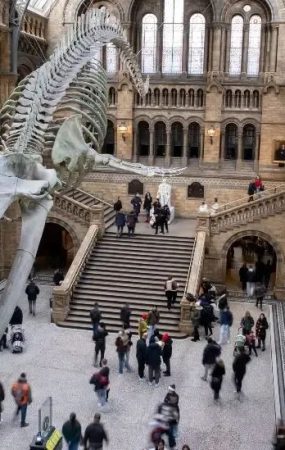 自然历史博物馆