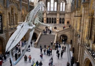 自然历史博物馆