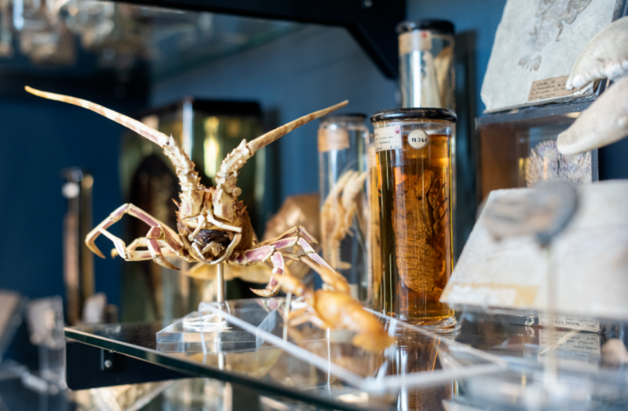 Library and Museum of Freemasonry   