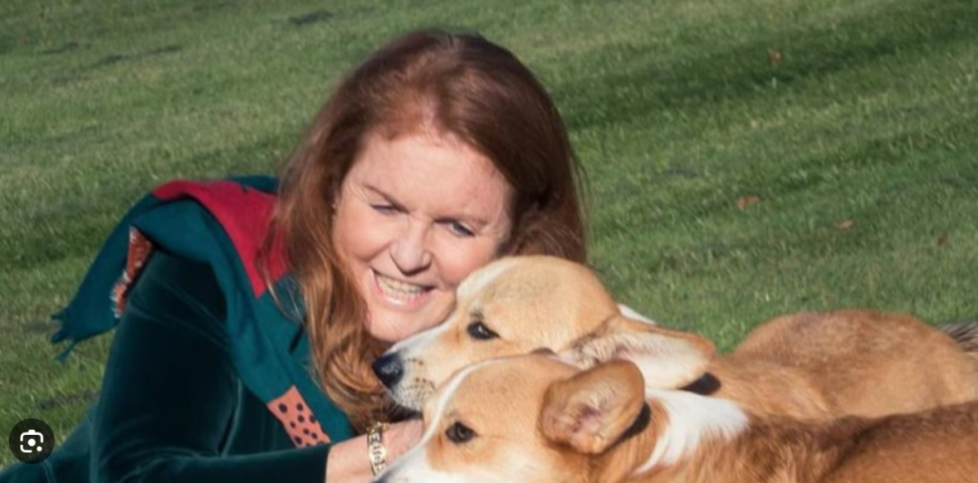 弗格森，Sandy, Muick