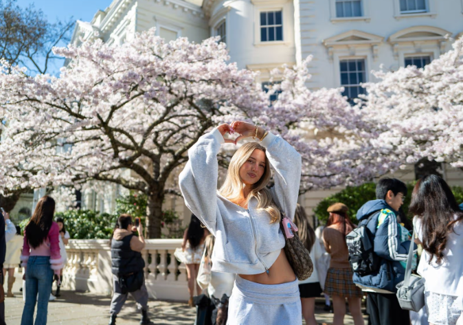 伦敦诺丁山樱花