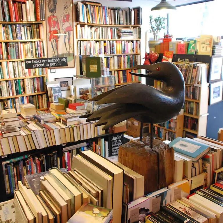 Black Gull Books, Camden Market and East Finchley  
