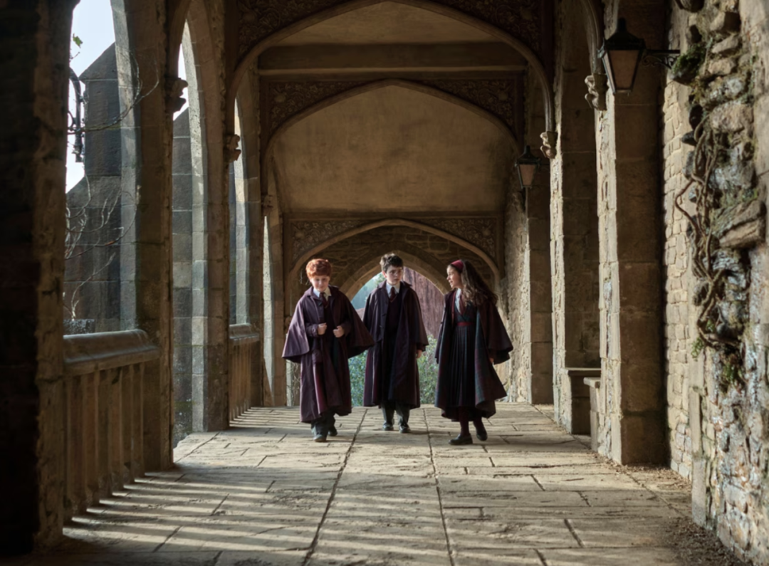 新版《哈利·波特》黑人斯内普教授首曝光！梳脏辫戴金戒引热议？