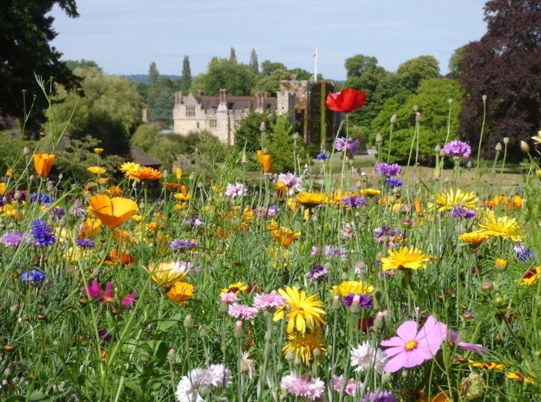周末来了！伦敦出发2小时内，10座超美古堡当天往返！