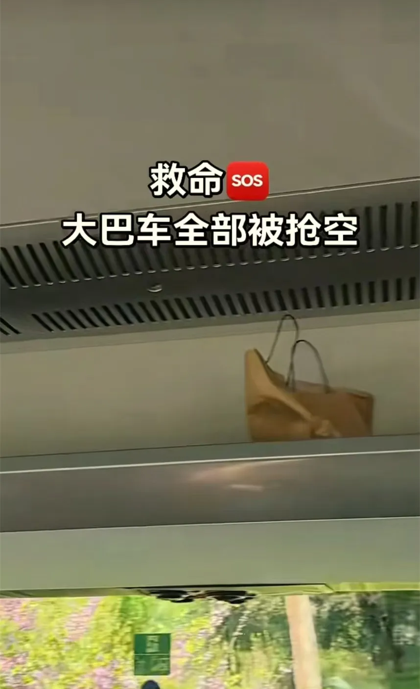 中国旅行团在欧洲遭集体盗窃！旅行大巴被撬，行李全被偷